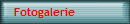 Fotogalerie 